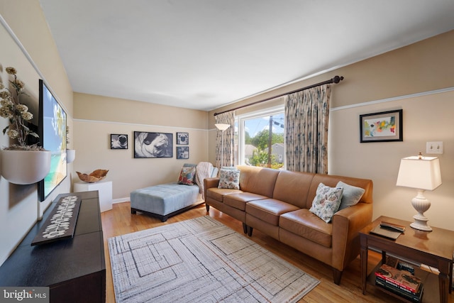 355 Agabiti Ct, Hamilton, NJ 08610 - living area with light wood-style floors