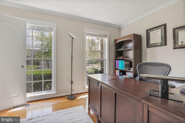 office area featuring healthy amount of natural light, light wood finished floors, ornamental molding, and baseboards