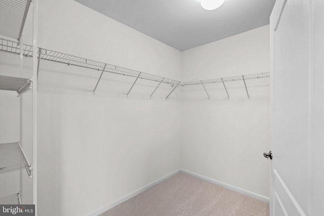 43127 Rocks Way, Leesburg, VA 20176 - spacious closet with carpet flooring