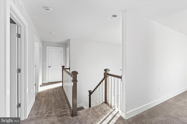 6741 Ginseng Ln, King George, VA 22485 - hallway featuring an upstairs landing, carpet floors, and baseboards
