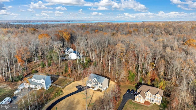 6741 Ginseng Ln, King George, VA 22485 - view from above of property with a forest