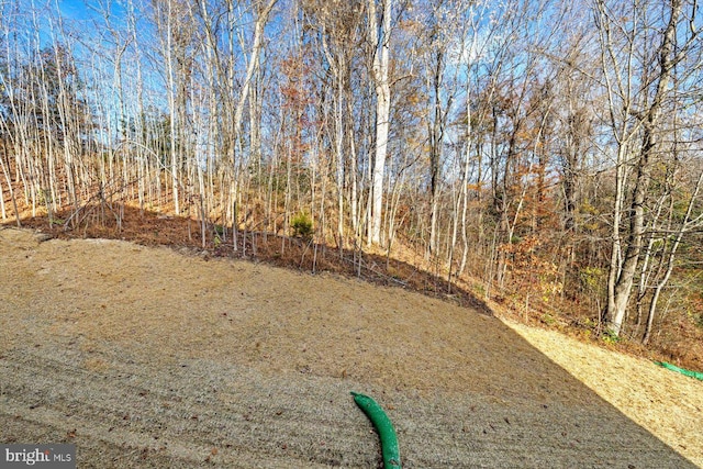 6741 Ginseng Ln, King George, VA 22485 - view of yard