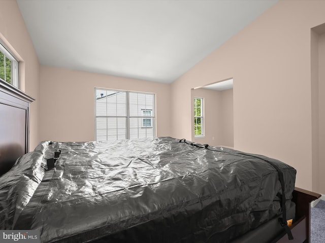 bedroom featuring vaulted ceiling and carpet