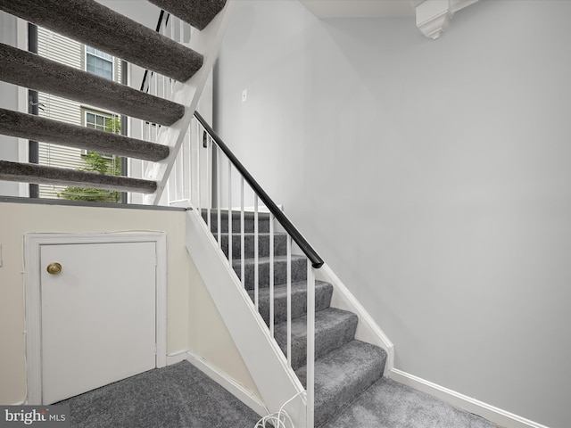 staircase with carpet flooring