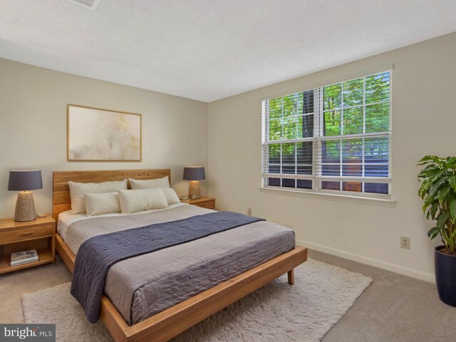 12106 Green Leaf Ct Unit 102, Fairfax, VA 22033 - bedroom with baseboards and carpet