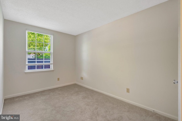 12106 Green Leaf Ct Unit 102, Fairfax, VA 22033 - carpeted empty room with baseboards and a textured ceiling