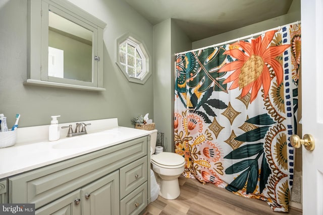 26882 Pratt Rd, Salisbury, MD 21801 - bathroom featuring wood finished floors, vanity, toilet, and a shower with shower curtain