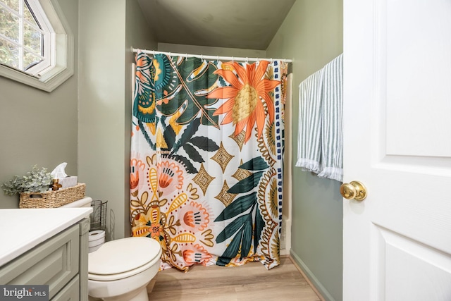 26882 Pratt Rd, Salisbury, MD 21801 - bathroom featuring wood finished floors, toilet, vanity, and a shower with shower curtain