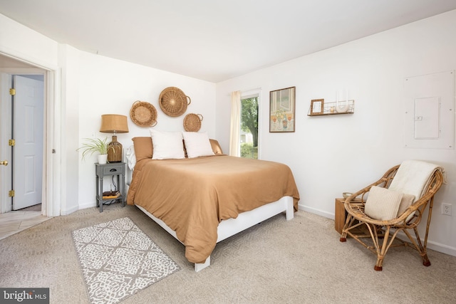 26882 Pratt Rd, Salisbury, MD 21801 - bedroom featuring light carpet, baseboards, and electric panel