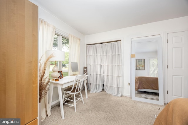 26882 Pratt Rd, Salisbury, MD 21801 - view of carpeted office
