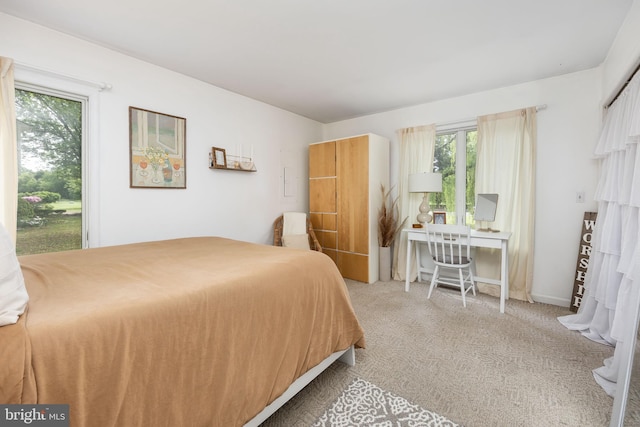 26882 Pratt Rd, Salisbury, MD 21801 - view of carpeted bedroom