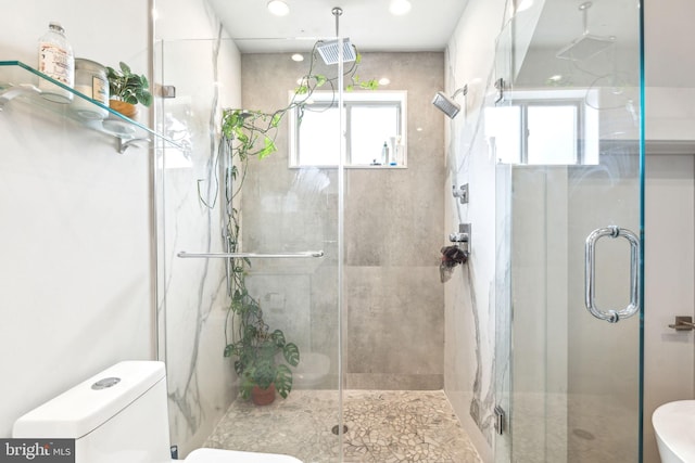 bathroom with toilet, plenty of natural light, and a stall shower