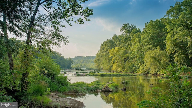 water view featuring a forest