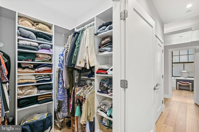 spacious closet with wood finished floors