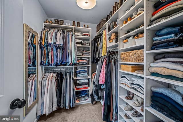 spacious closet with carpet flooring