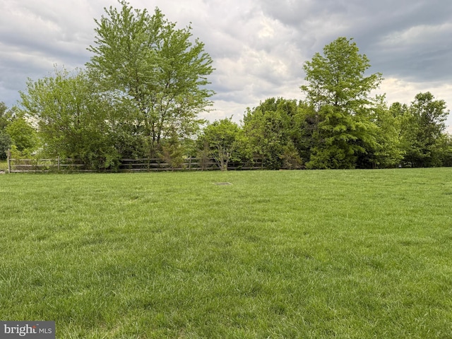 view of grassy yard