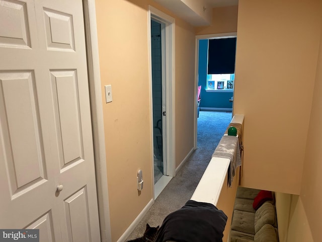 402 Market St, Marcus Hook, PA 19061 - hall with carpet flooring and baseboards