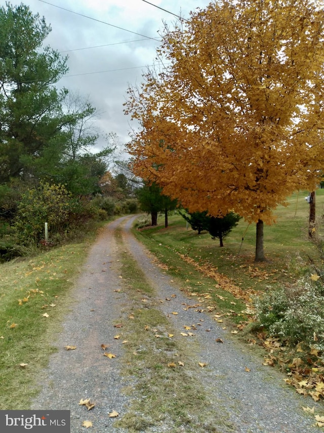 view of road