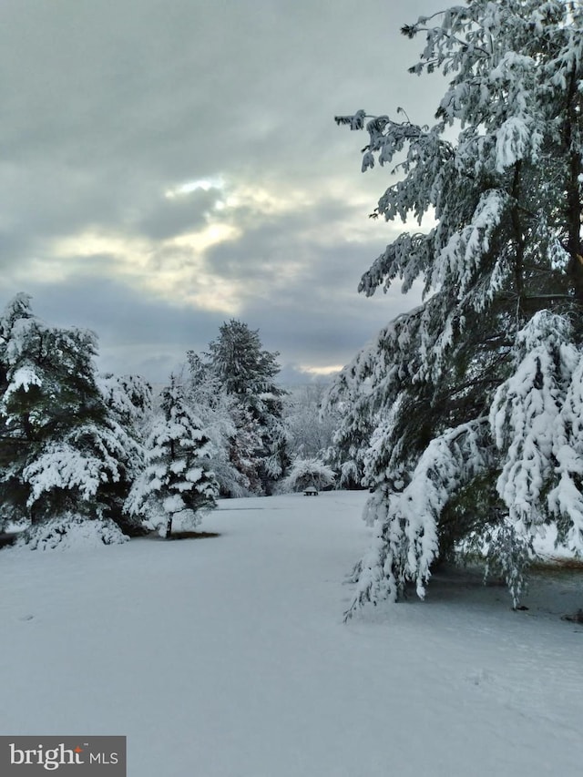 yard layered in snow with a mountain view