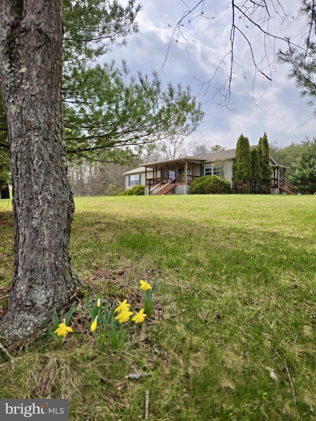 view of grassy yard