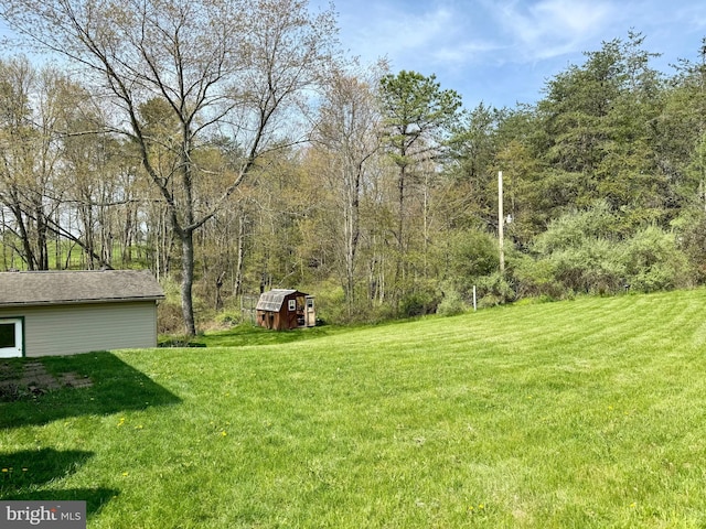 view of green lawn featuring a shed, an outbuilding, and a view of trees
