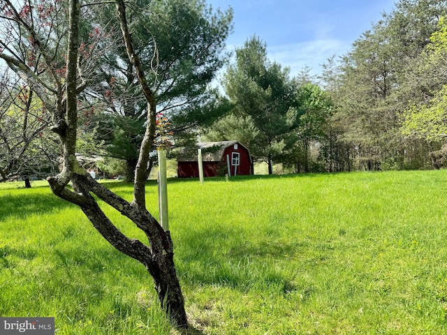 view of yard featuring an outdoor structure and a barn