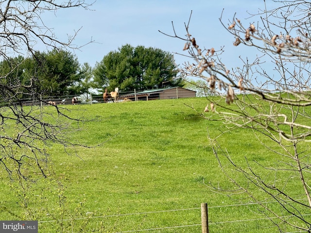 view of green lawn featuring a pole building