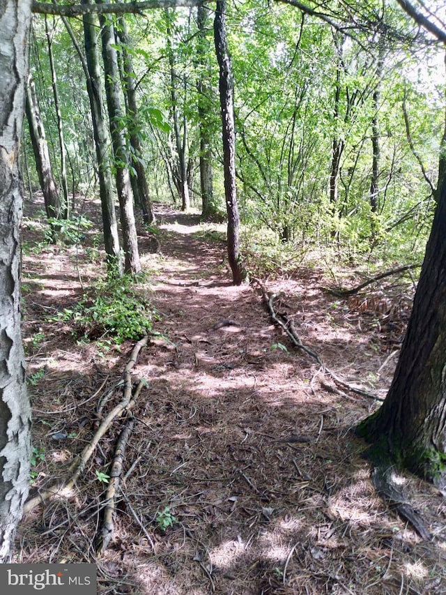 view of wooded area