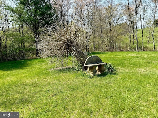 view of grassy yard