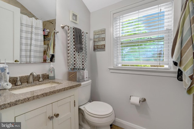 2914 6th St S, Arlington, VA 22204 - bathroom featuring toilet, healthy amount of natural light, vanity, vaulted ceiling, and a shower with curtain