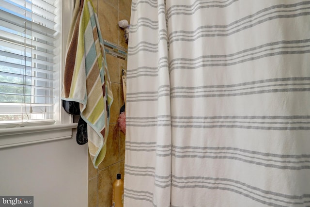 2914 6th St S, Arlington, VA 22204 - bathroom with a shower with curtain