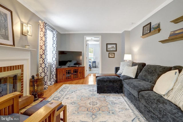 2914 6th St S, Arlington, VA 22204 - living room with healthy amount of natural light, light wood-type flooring, crown molding, and a fireplace