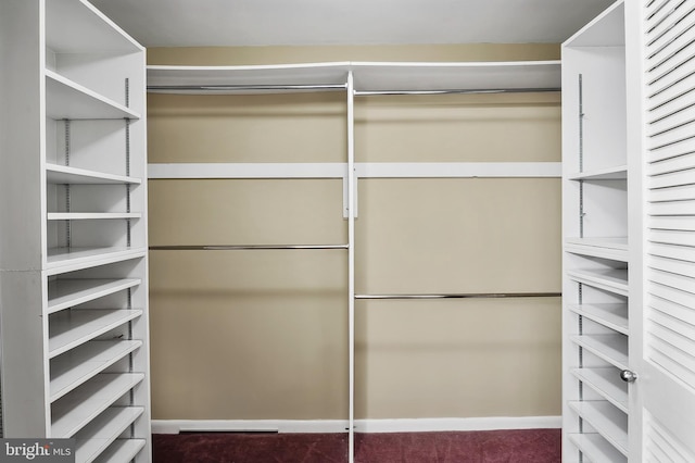 2 High Stepper Ct Unit 201, Baltimore, MD 21208 - spacious closet featuring carpet