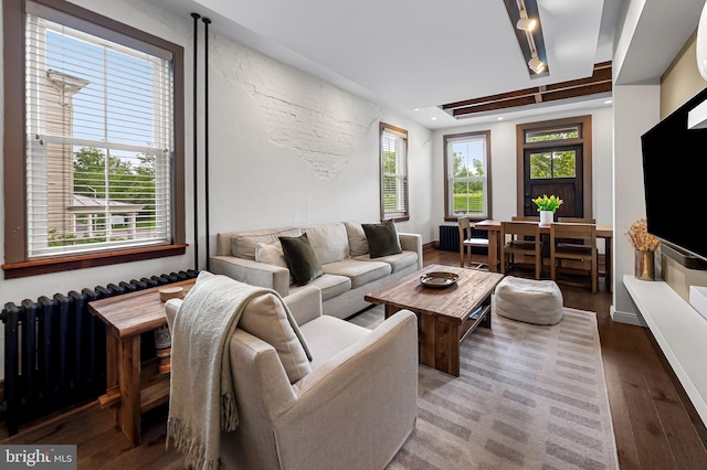 living room with hardwood / wood-style floors and radiator heating unit