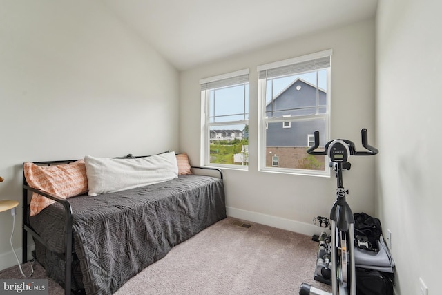 7853 Bluelick Run Rd, Baltimore, MD 21244 - carpeted bedroom featuring baseboards and lofted ceiling