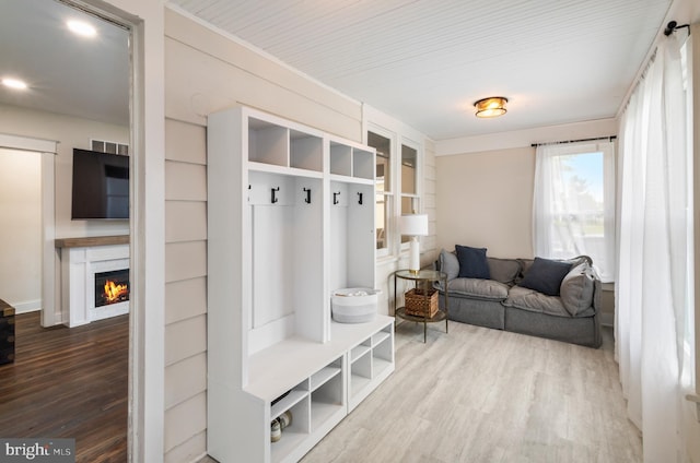 mudroom featuring wood finished floors and a warm lit fireplace