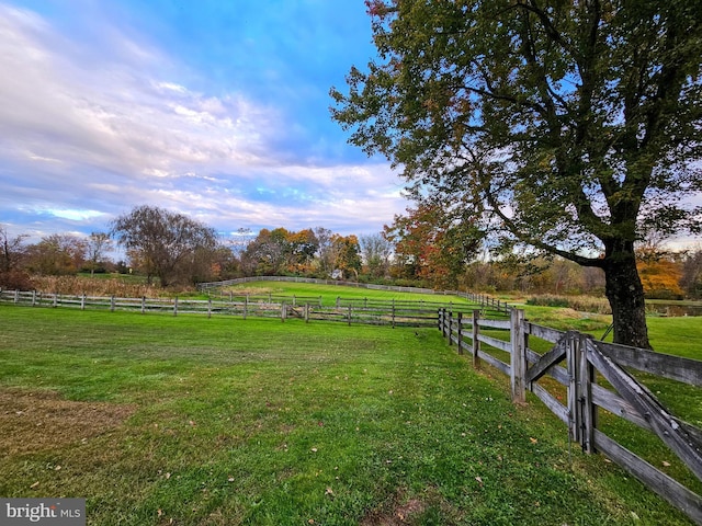 view of yard featuring a rural view