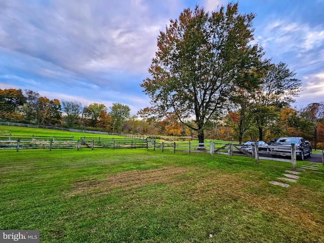 view of yard with a rural view
