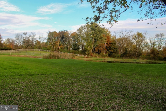 view of yard