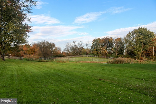 view of yard featuring a rural view