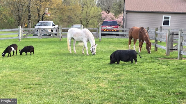 view of yard