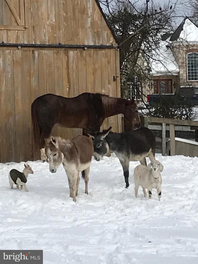 view of horse barn