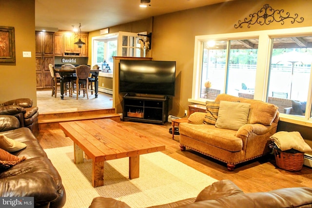 living area with wood finished floors and a baseboard radiator