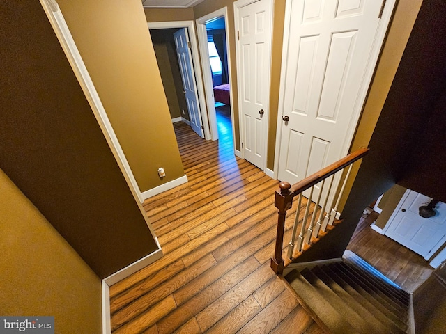 staircase featuring wood finished floors and baseboards
