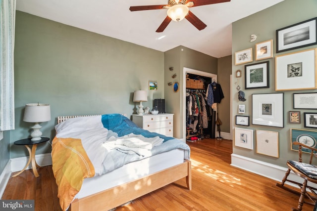 bedroom featuring a closet, wood finished floors, baseboards, and a walk in closet