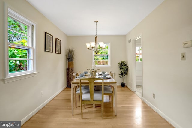 1807 N Barton St, Arlington, VA 22201 - dining room with plenty of natural light, light wood-type flooring, and baseboards