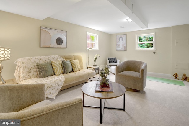 1807 N Barton St, Arlington, VA 22201 - carpeted living area with plenty of natural light and baseboards