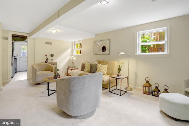 1807 N Barton St, Arlington, VA 22201 - living room featuring light colored carpet, plenty of natural light, and baseboards