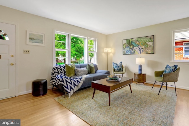 1807 N Barton St, Arlington, VA 22201 - living area featuring plenty of natural light, wood finished floors, and baseboards