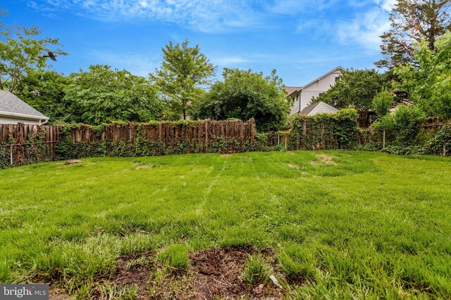 1807 N Barton St, Arlington, VA 22201 - view of yard